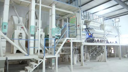 “碰網觸電”拓銷路，黃陂大米借力電商升級設備銷售